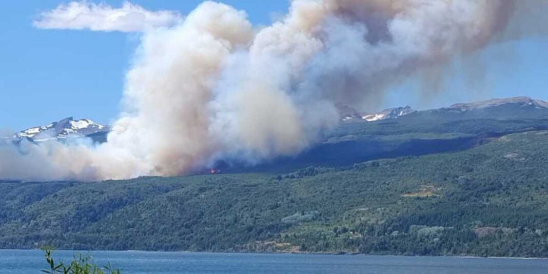 chubut:-apuntan-a-la-ram-por-la-intencionalidad-del-incendio-en-los-alerces-e-impulsan-el-desalojo-de-la-toma-de-tierras-del-parque-nacional