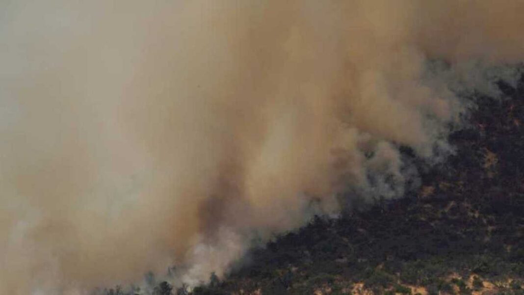 aumentan-a-59-los-muertos-en-multiples-incendios-registrados-en-la-zona-central-de-chile