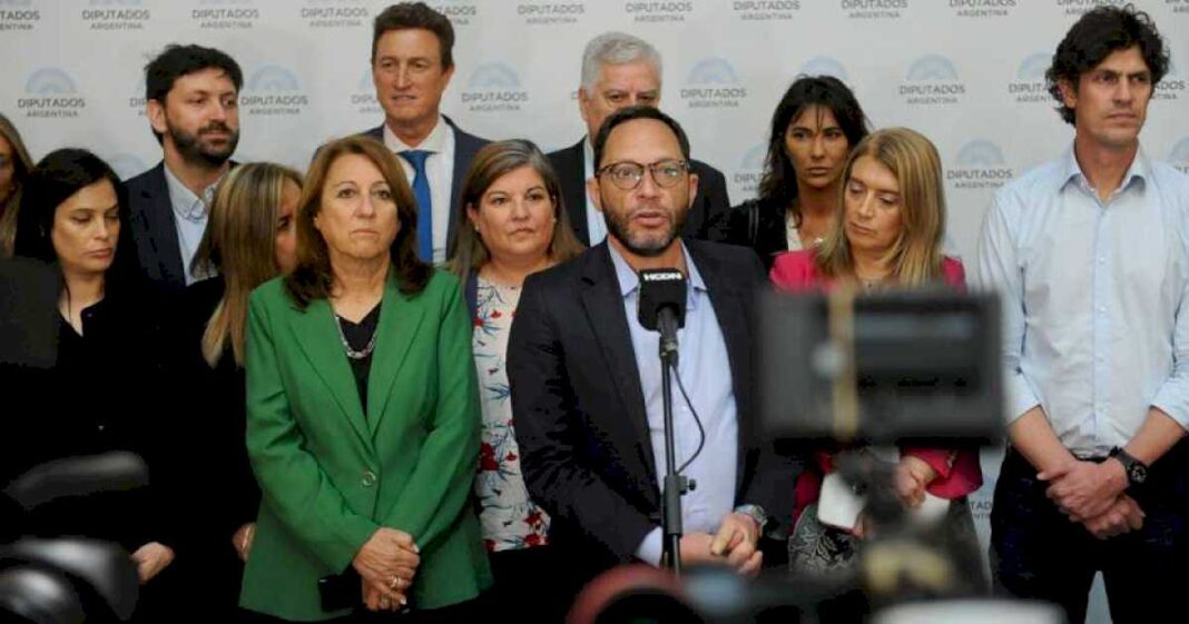 diputados-y-senadores-de-la-oposicion-dialoguista-convocaron-a-marchar-en-defensa-de-la-universidad-publica